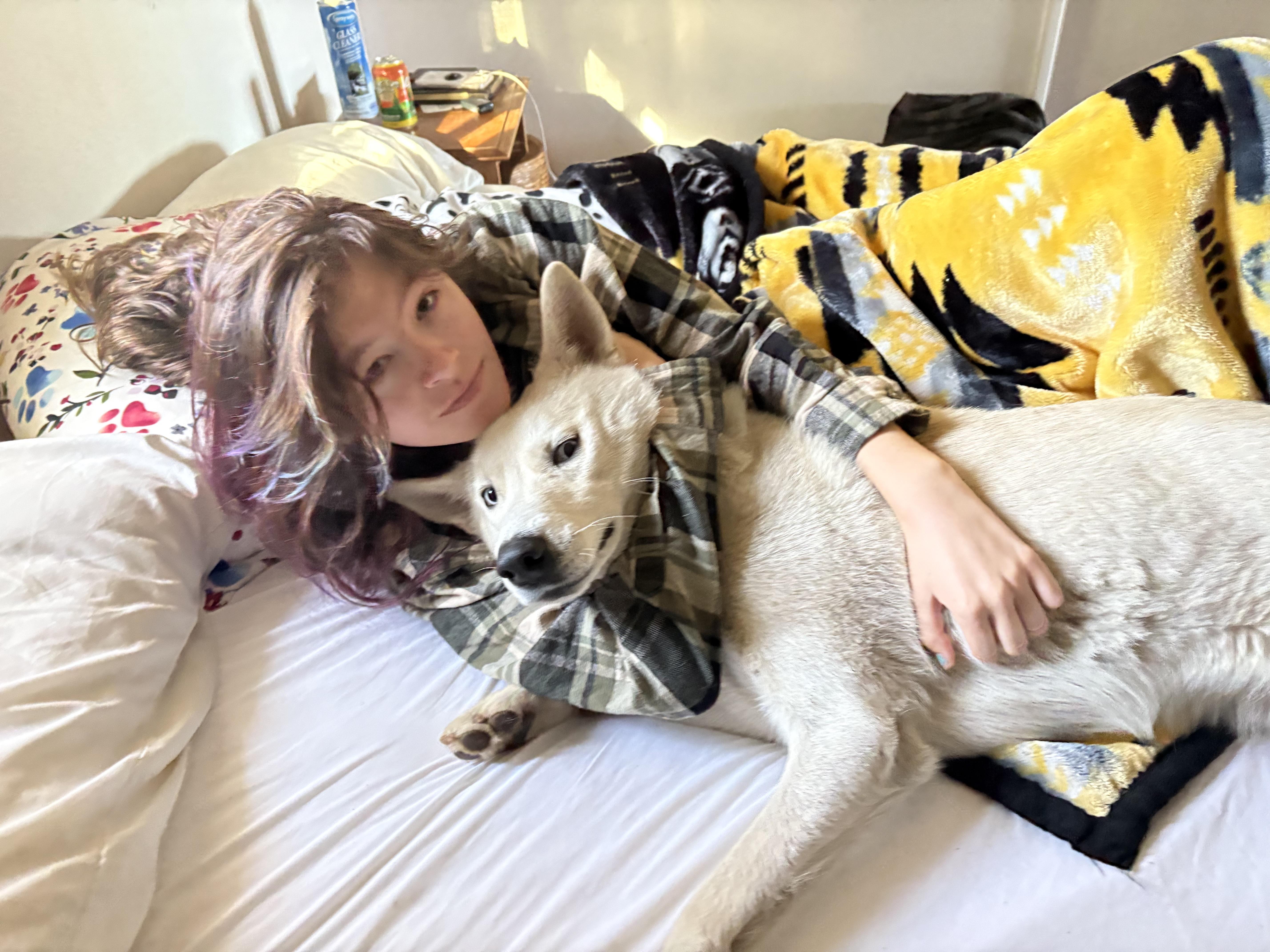 Ghost, a ADOPTABLE Siberian Husky in Menifee, CA image 5/7