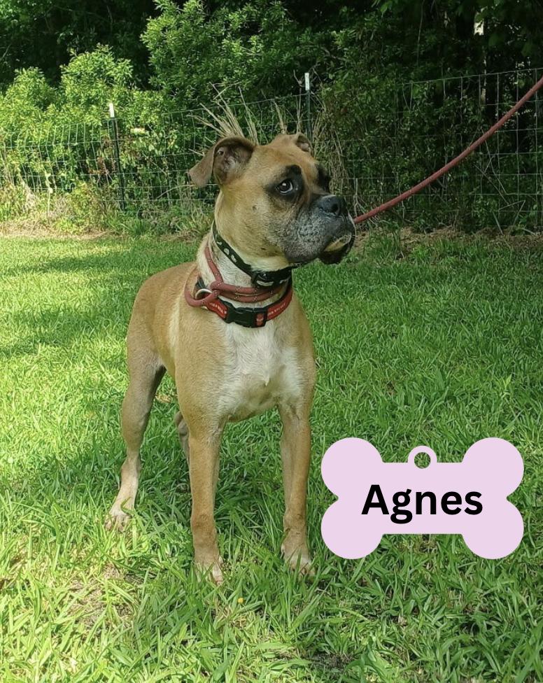 Agnes