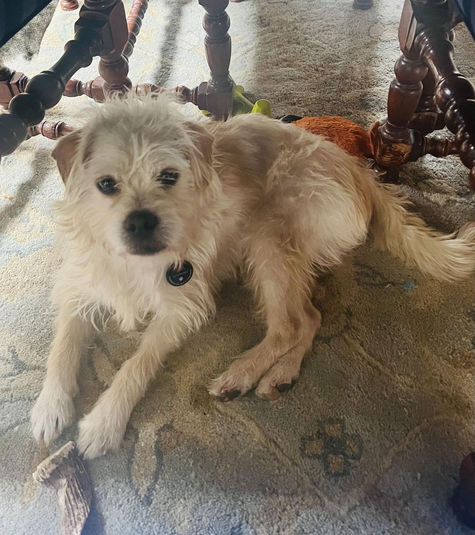 Rafferty thumbnail 2