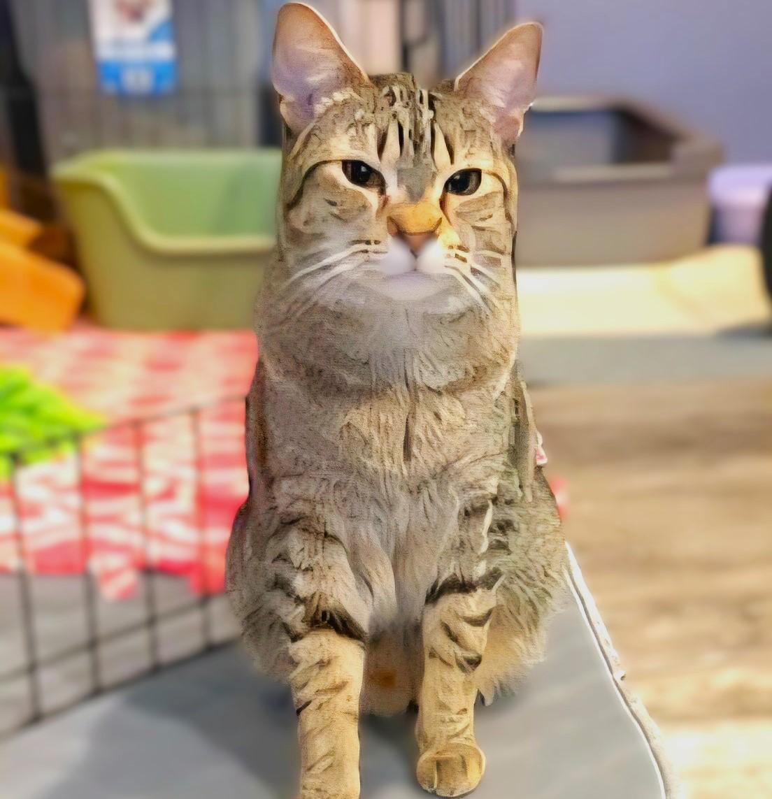 Sirius