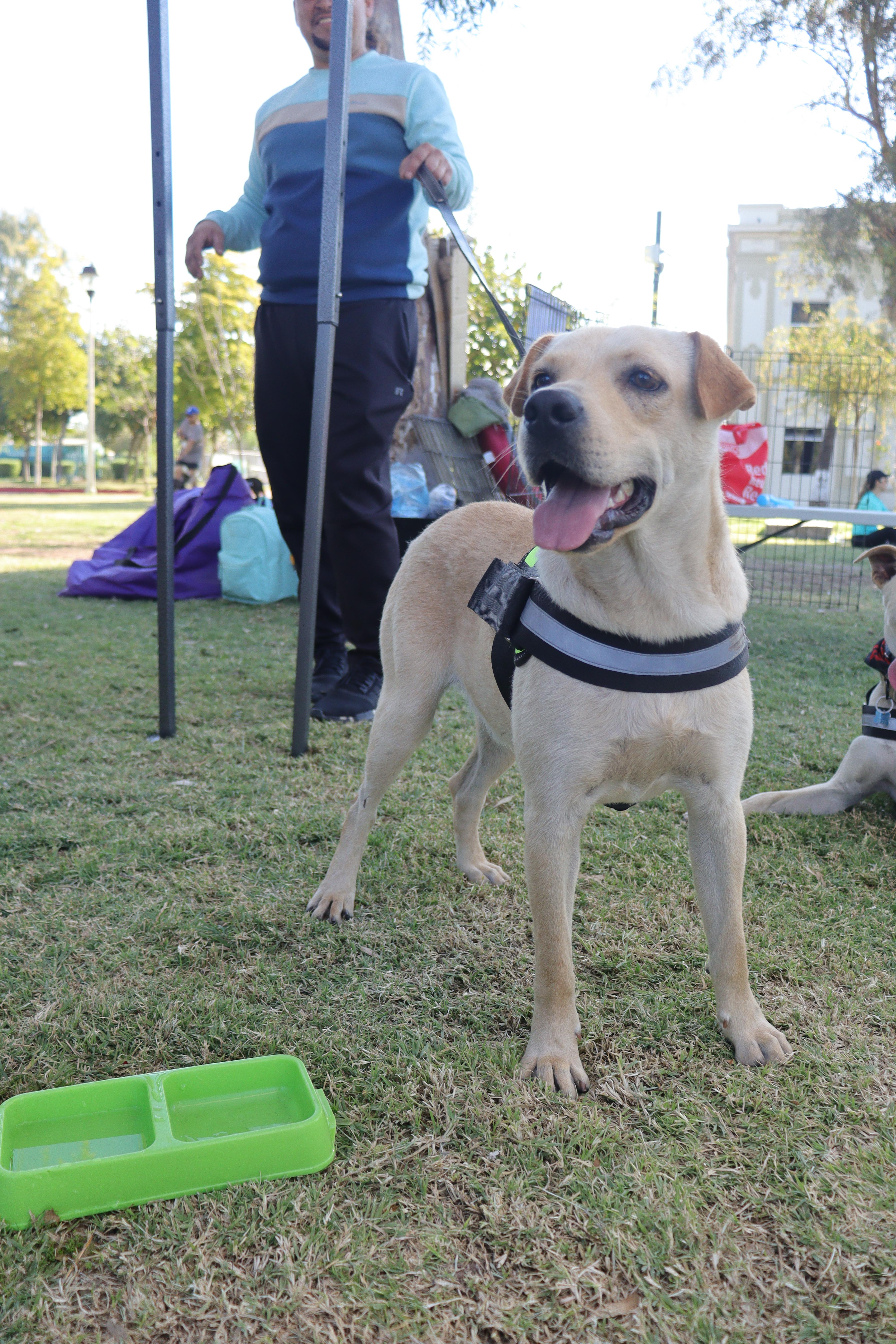 Costco — thumbnail 3