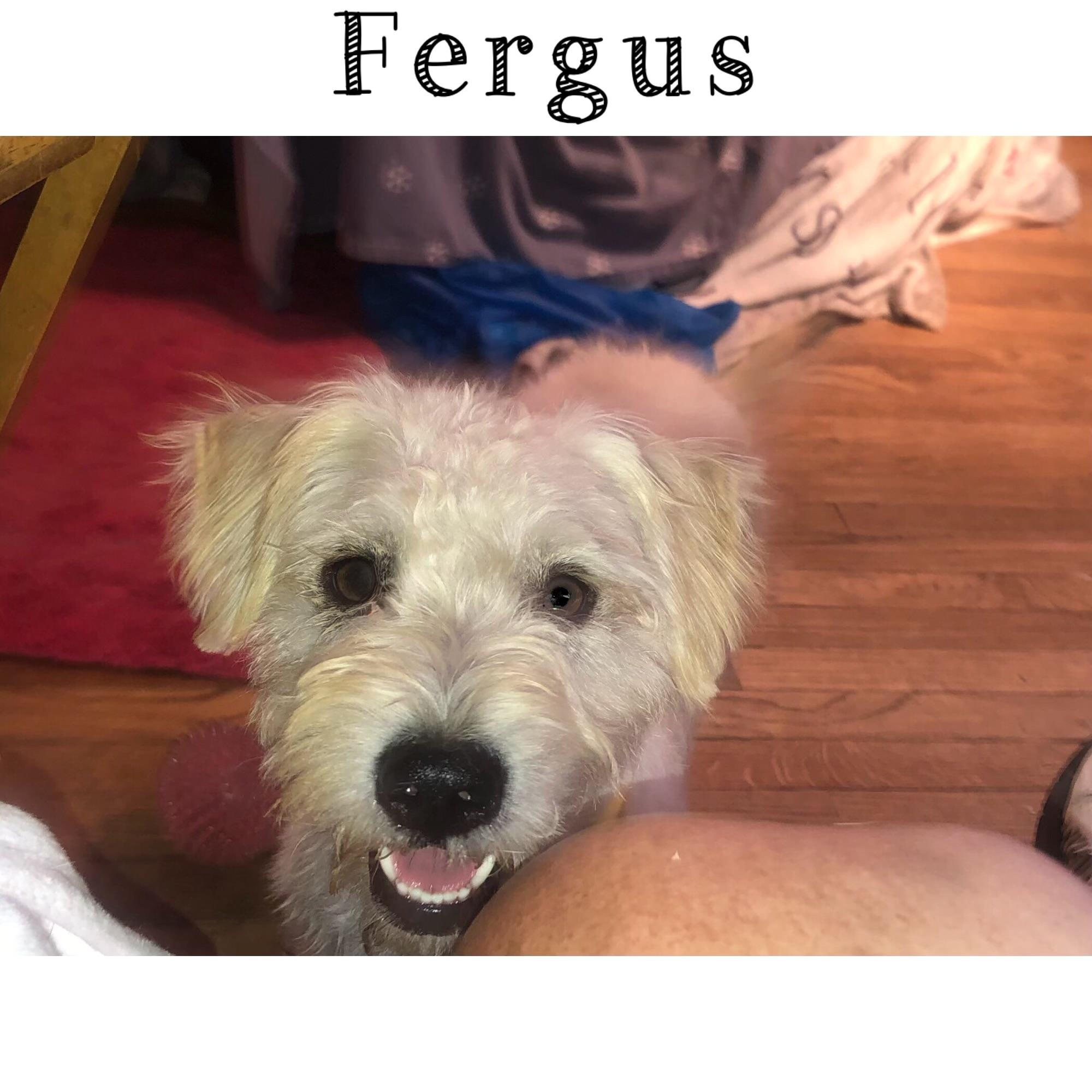 Fergus