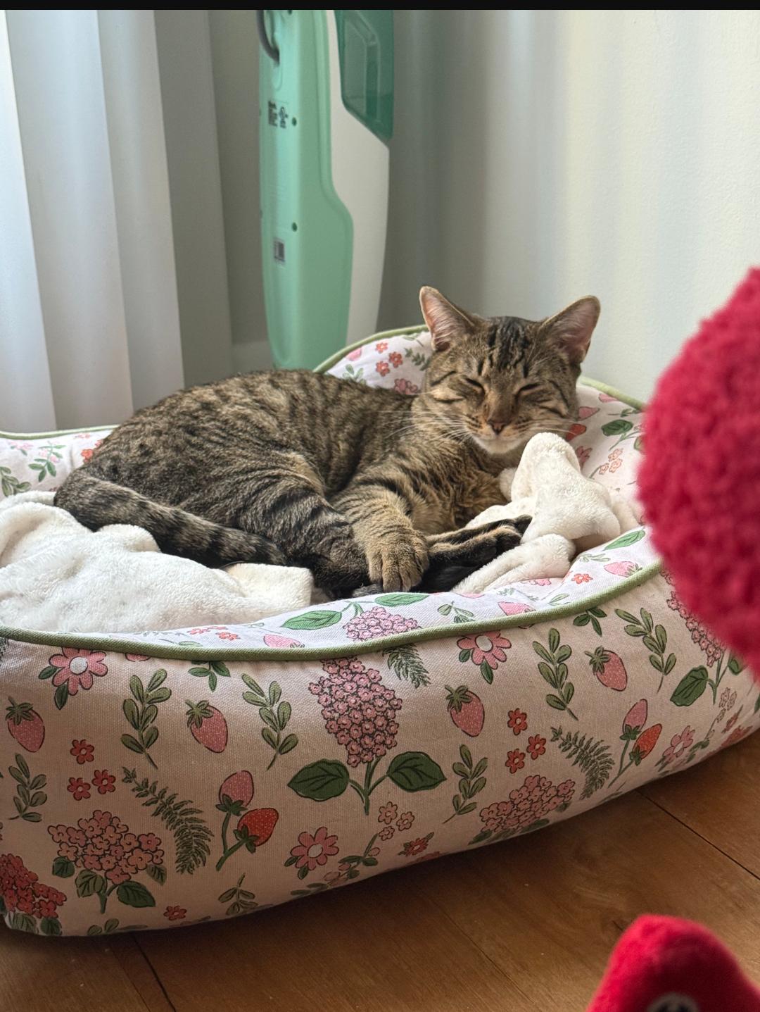 Jasper & MIchael — thumbnail 3