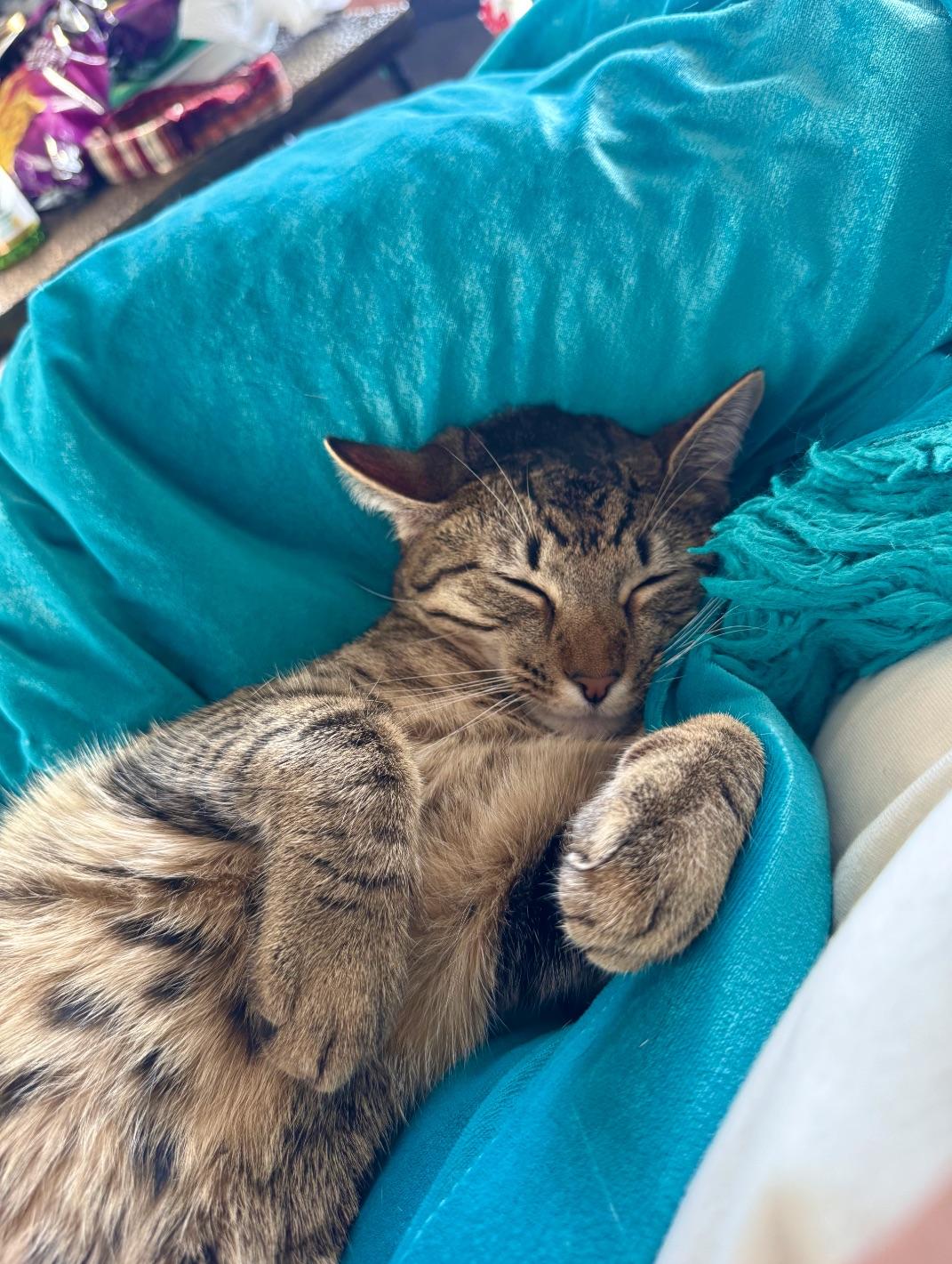 Jasper & MIchael — thumbnail 6