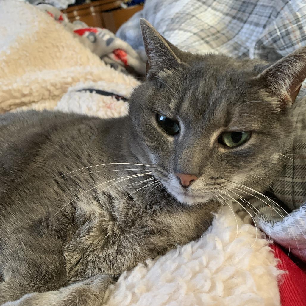 Kibby — thumbnail 2