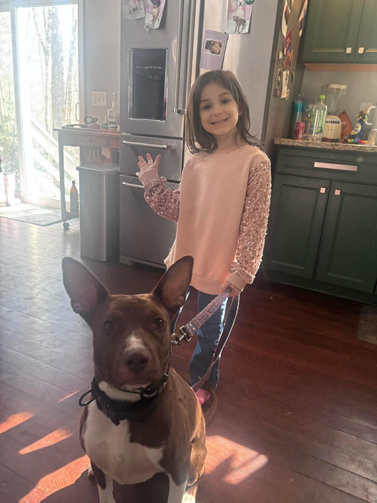 Enlarge Betty (FEE SPONSORED), a Adoptable mixed breed in Portland, ME image 4/6