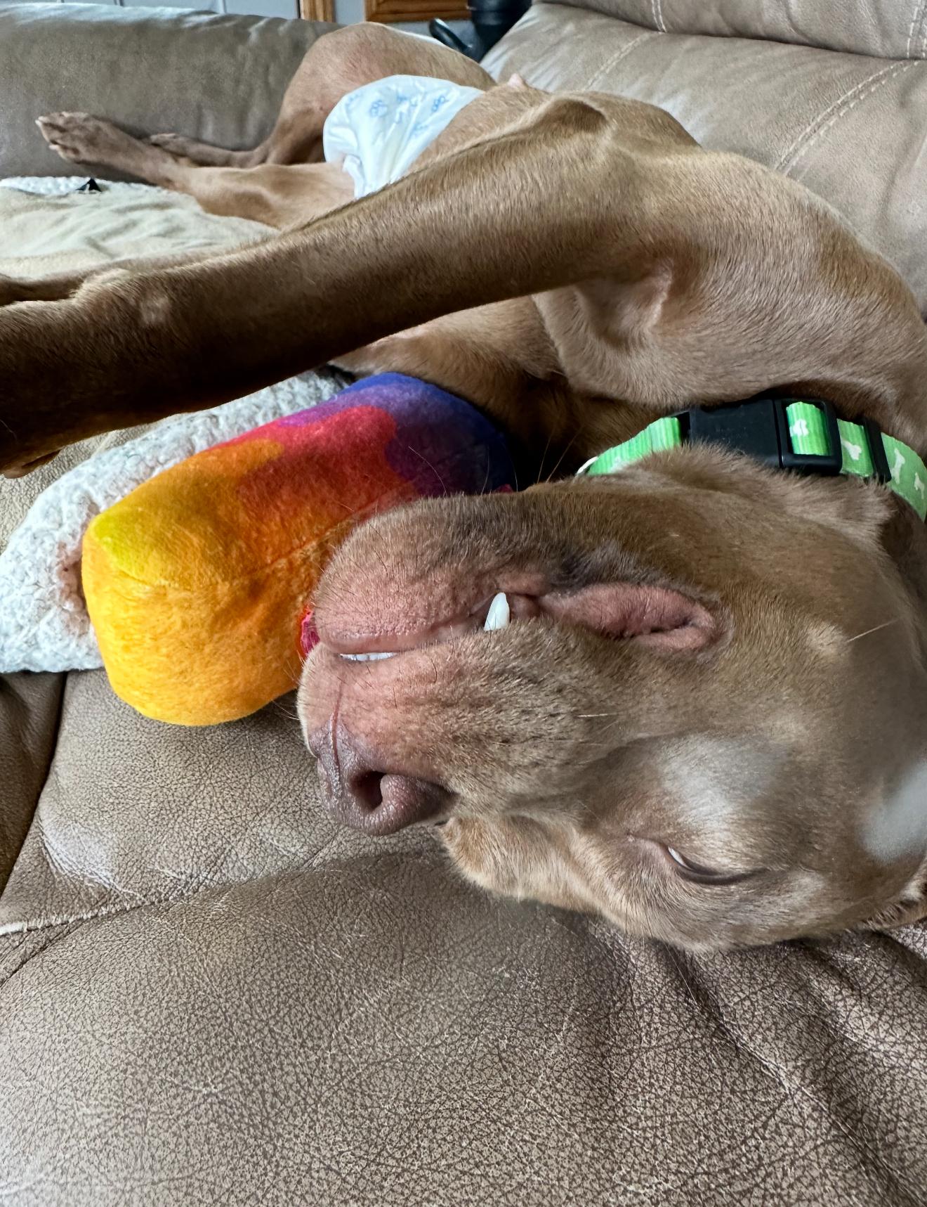 Sapphire thumbnail 6