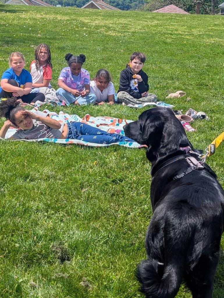Enlarge Matilda, a Adoptable mixed breed in New Kensington, PA image 6/6