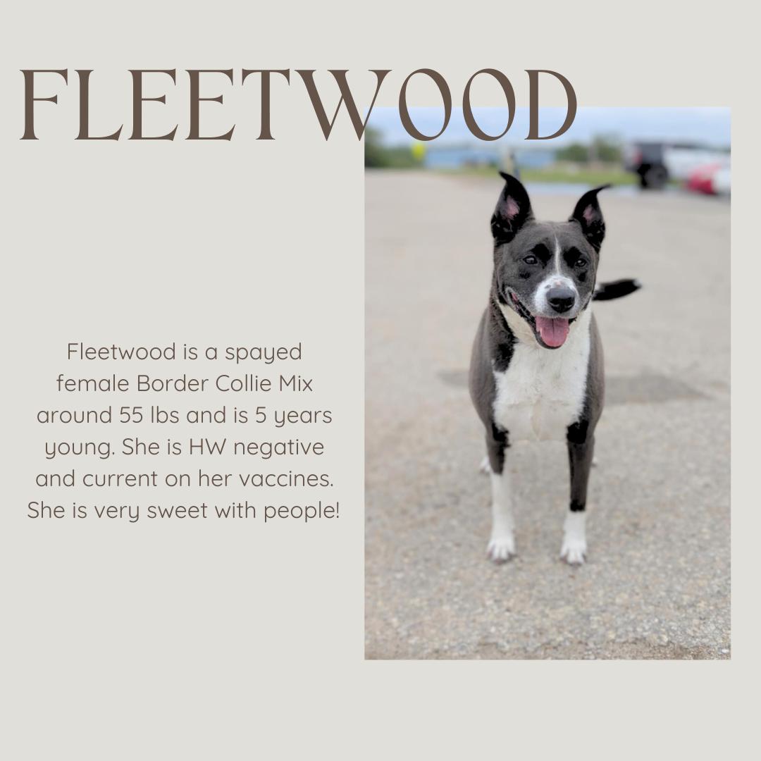 Fleetwood