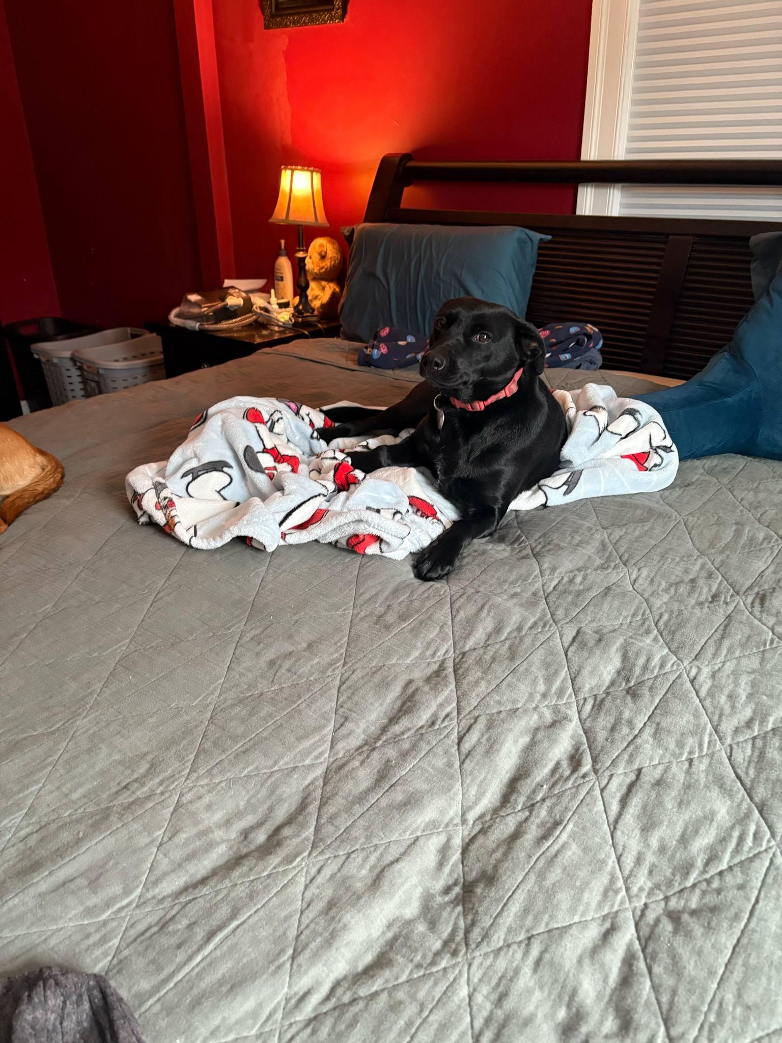 Maggie photo 3