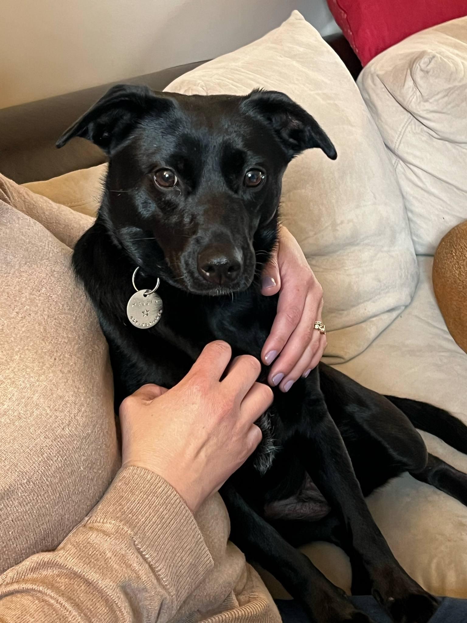 Maggie photo 1