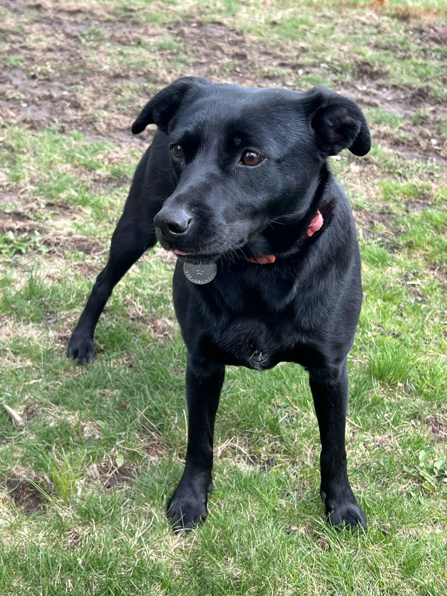 Maggie photo 2
