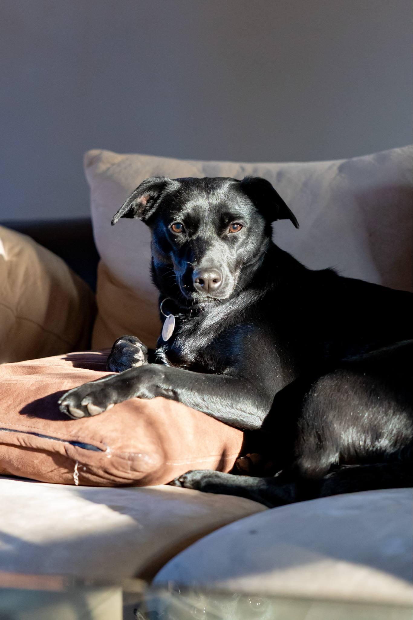 Maggie photo 5
