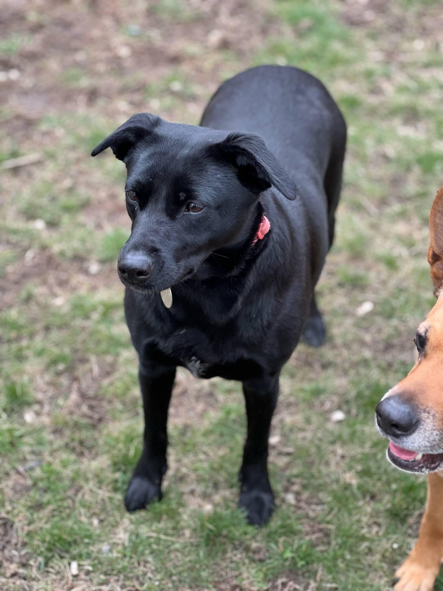 Maggie photo 6