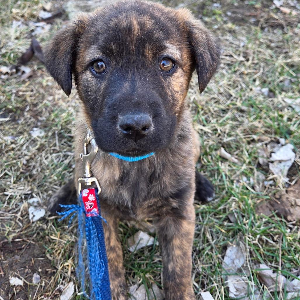 Spark — thumbnail 2