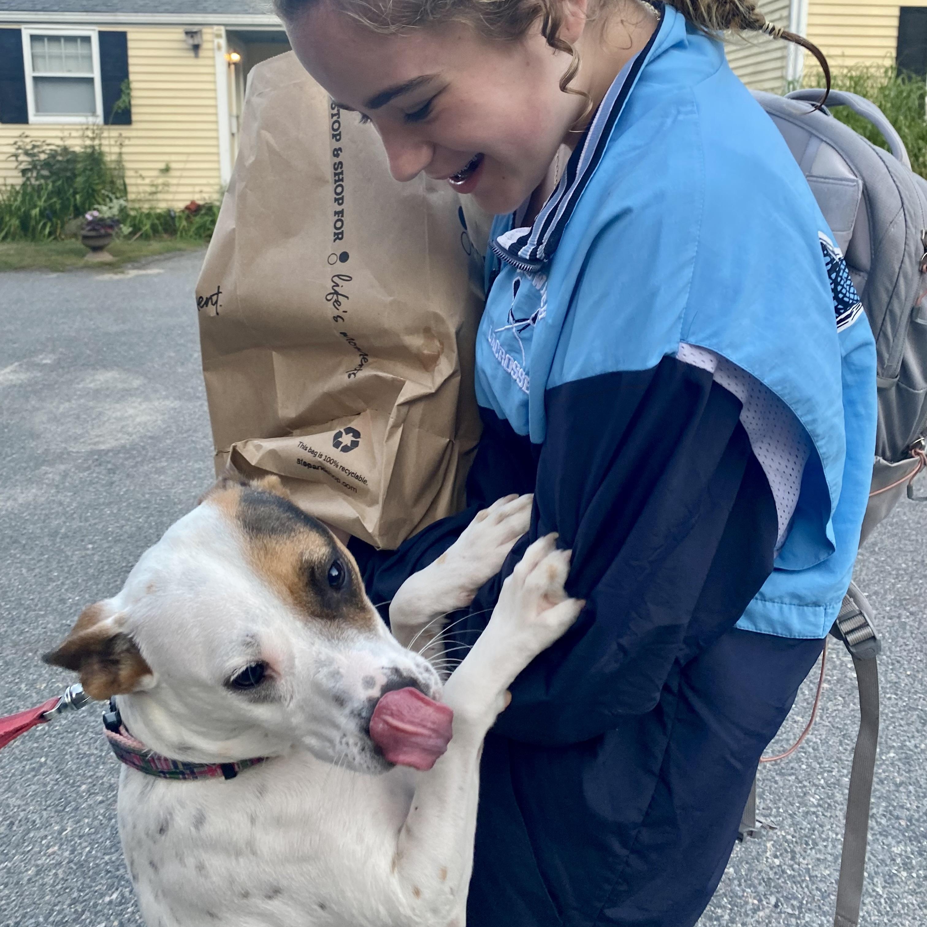 Enlarge Lola, a Adoptable Mixed Breed in Plymouth, MA image 5/6