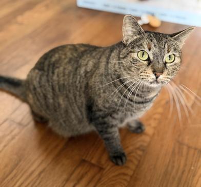 Mila — thumbnail 2