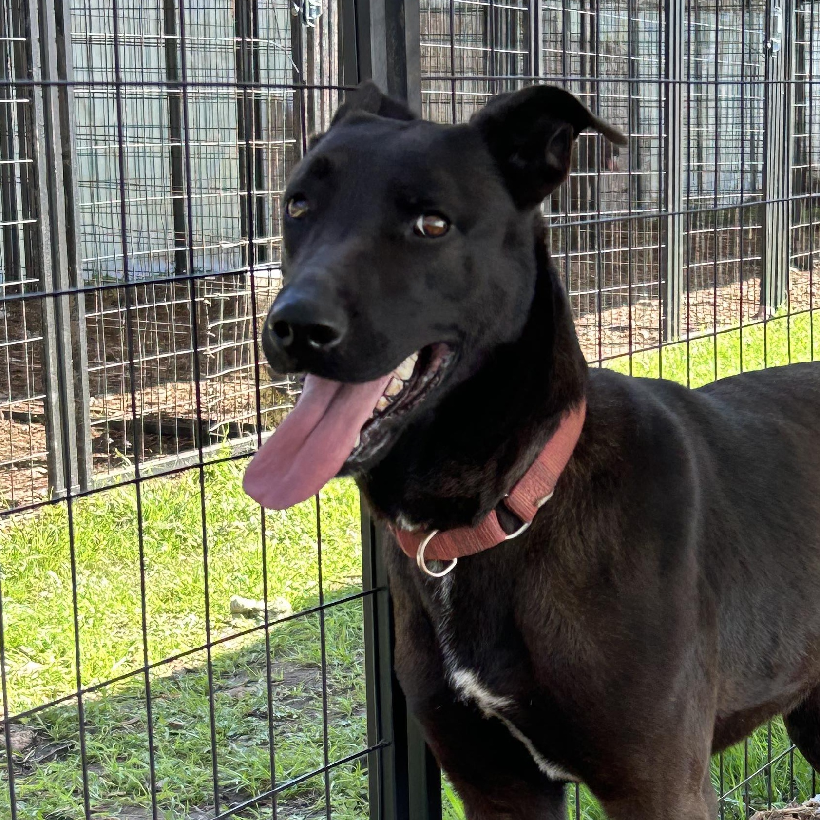 Galaxy — thumbnail 3