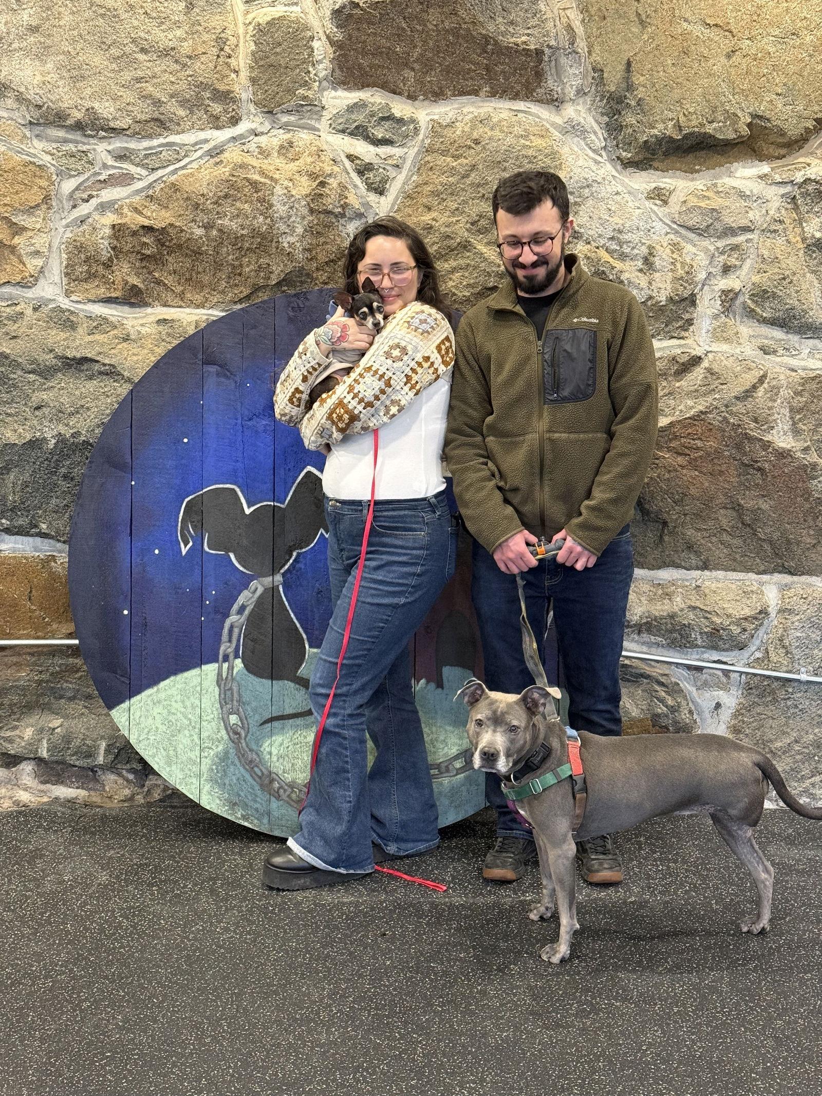 Peso TX, a Adopted Chihuahua in Boonton, NJ image 1/3