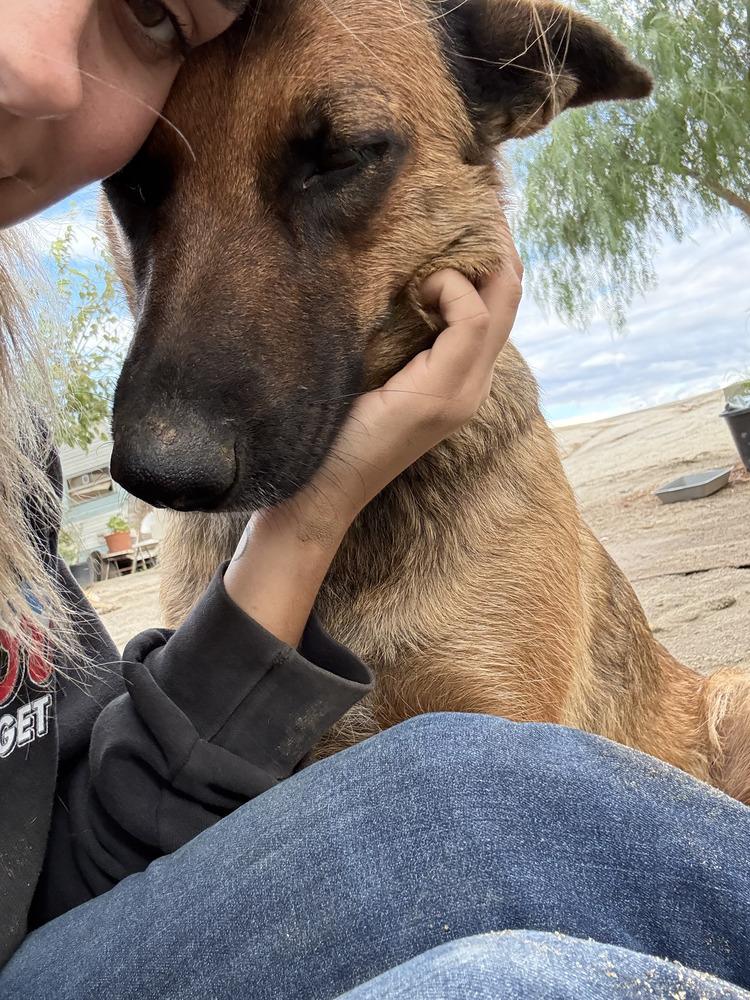 Freyja Fka Athena  thumbnail 2