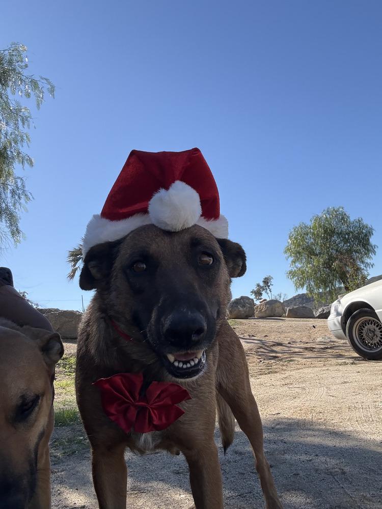 Freyja Fka Athena  thumbnail 3