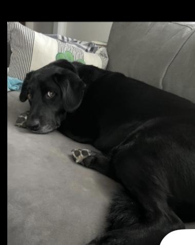 Cooper photo 3