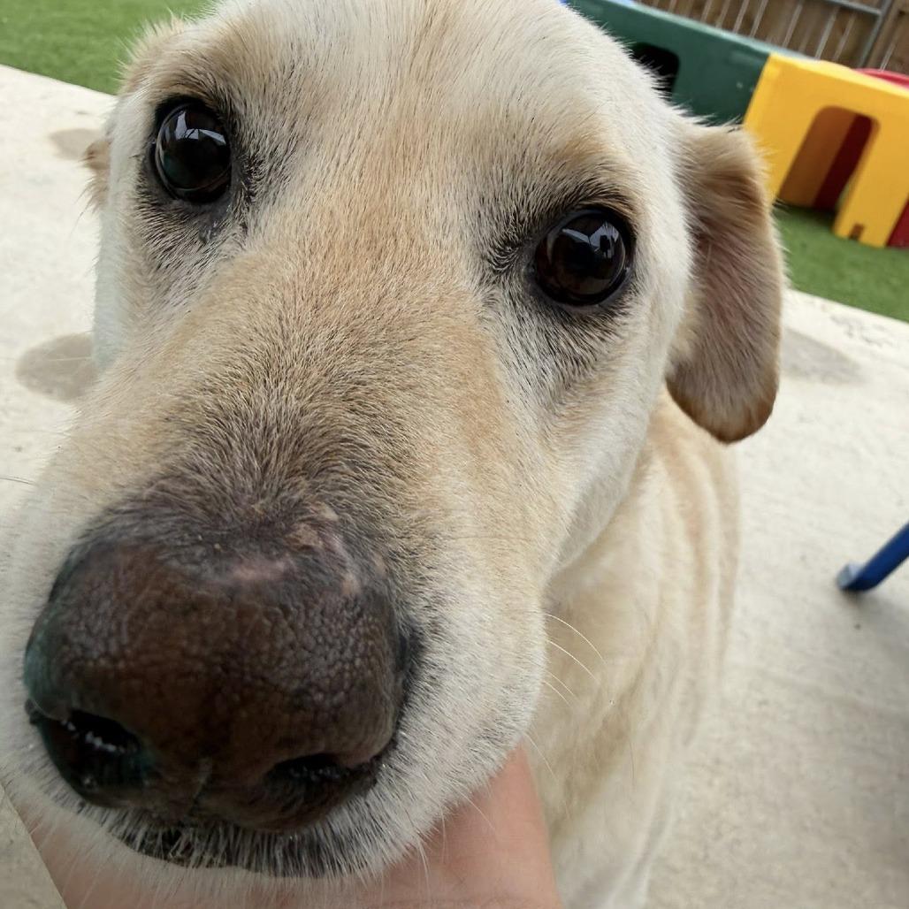 Maile — thumbnail 2