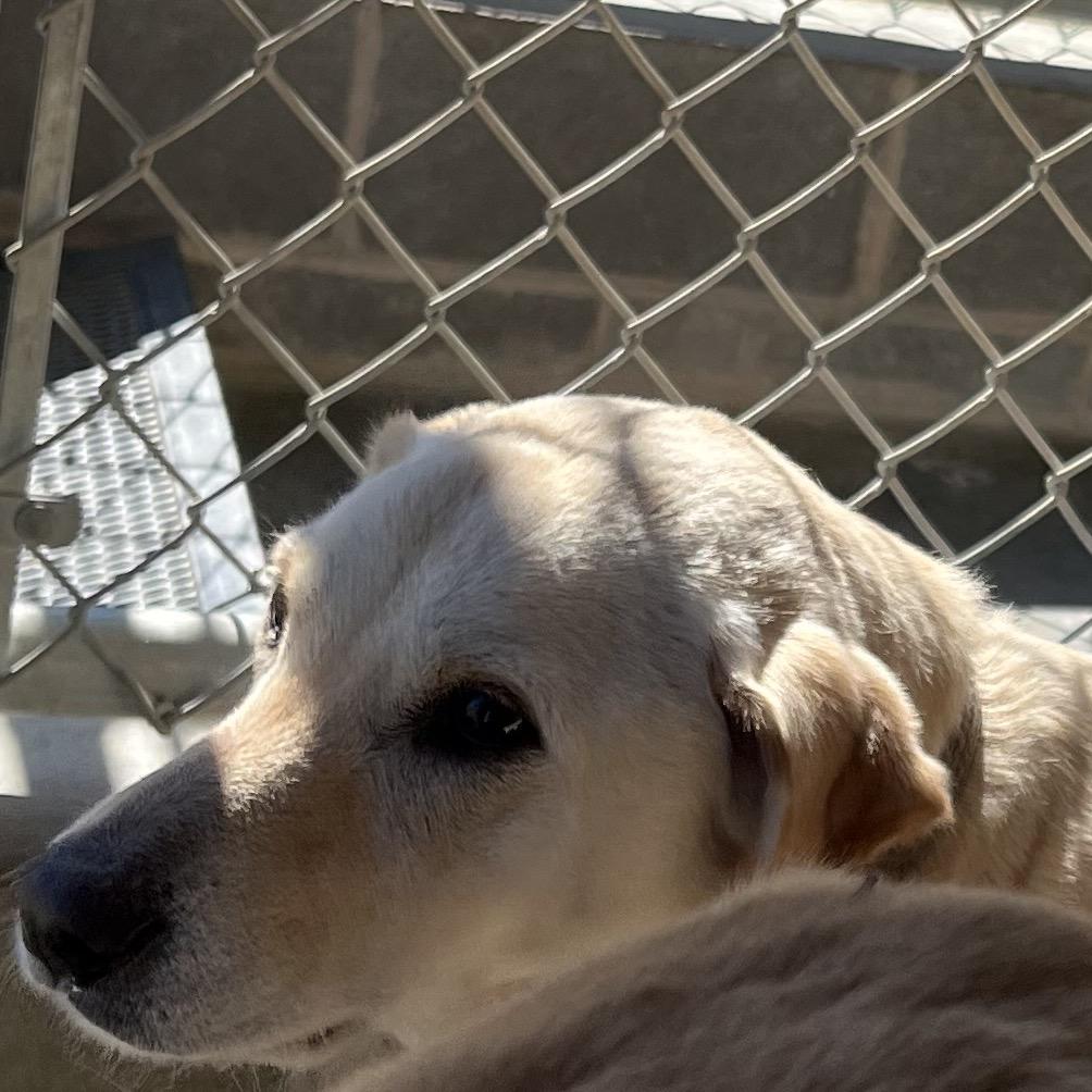 Maile — thumbnail 3