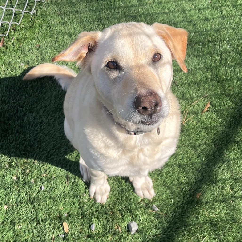 Maile — thumbnail 4