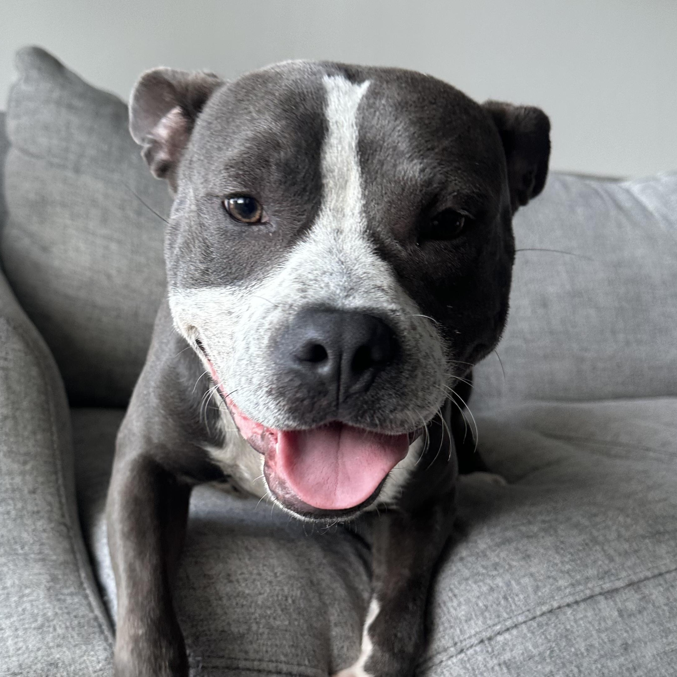 Nelly
