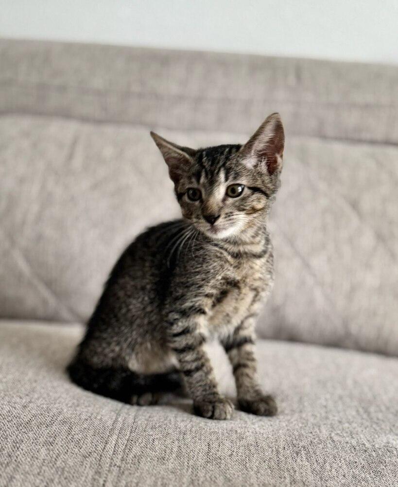 Sully — thumbnail 3