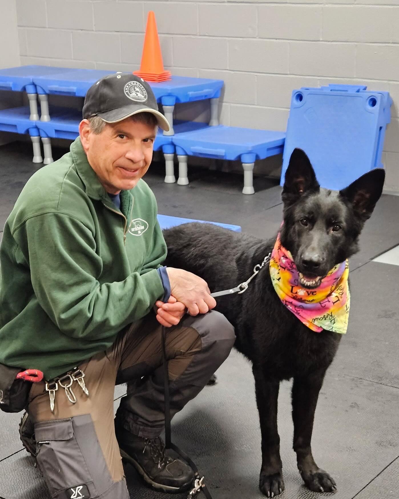 Enlarge Spice, a Adoptable German Shepherd Dog in Brookfield, CT image 6/6
