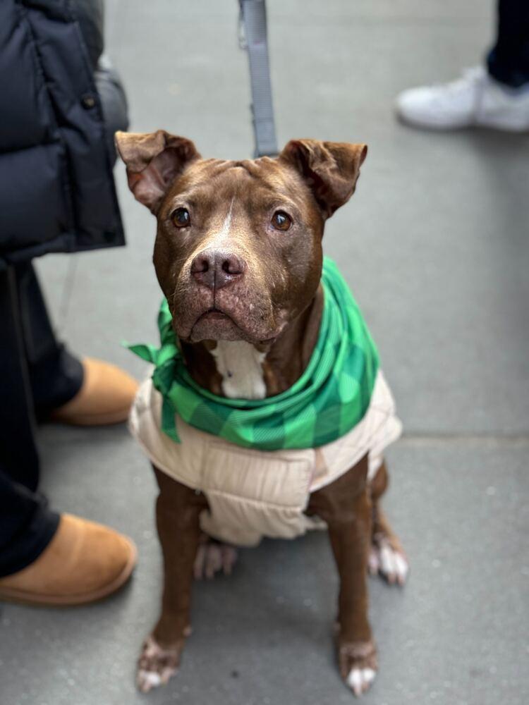 Tourmaline thumbnail 3