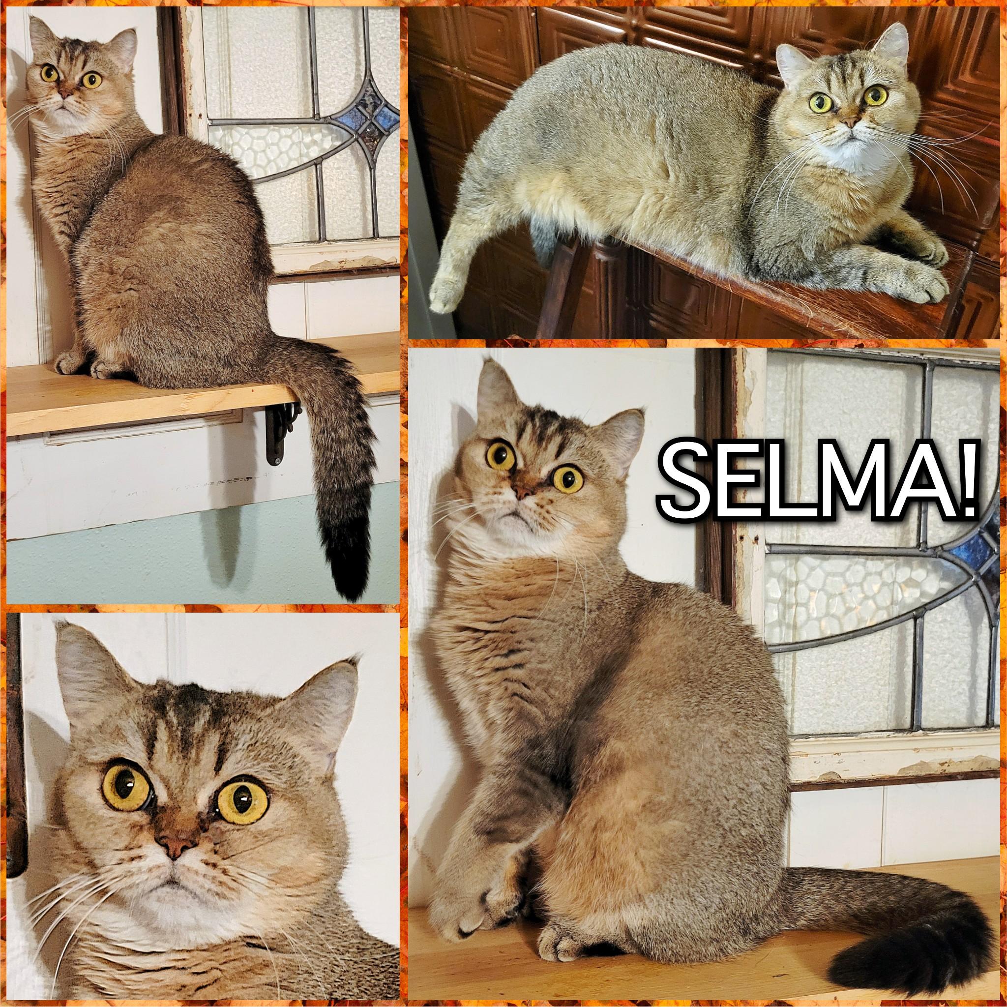 Selma