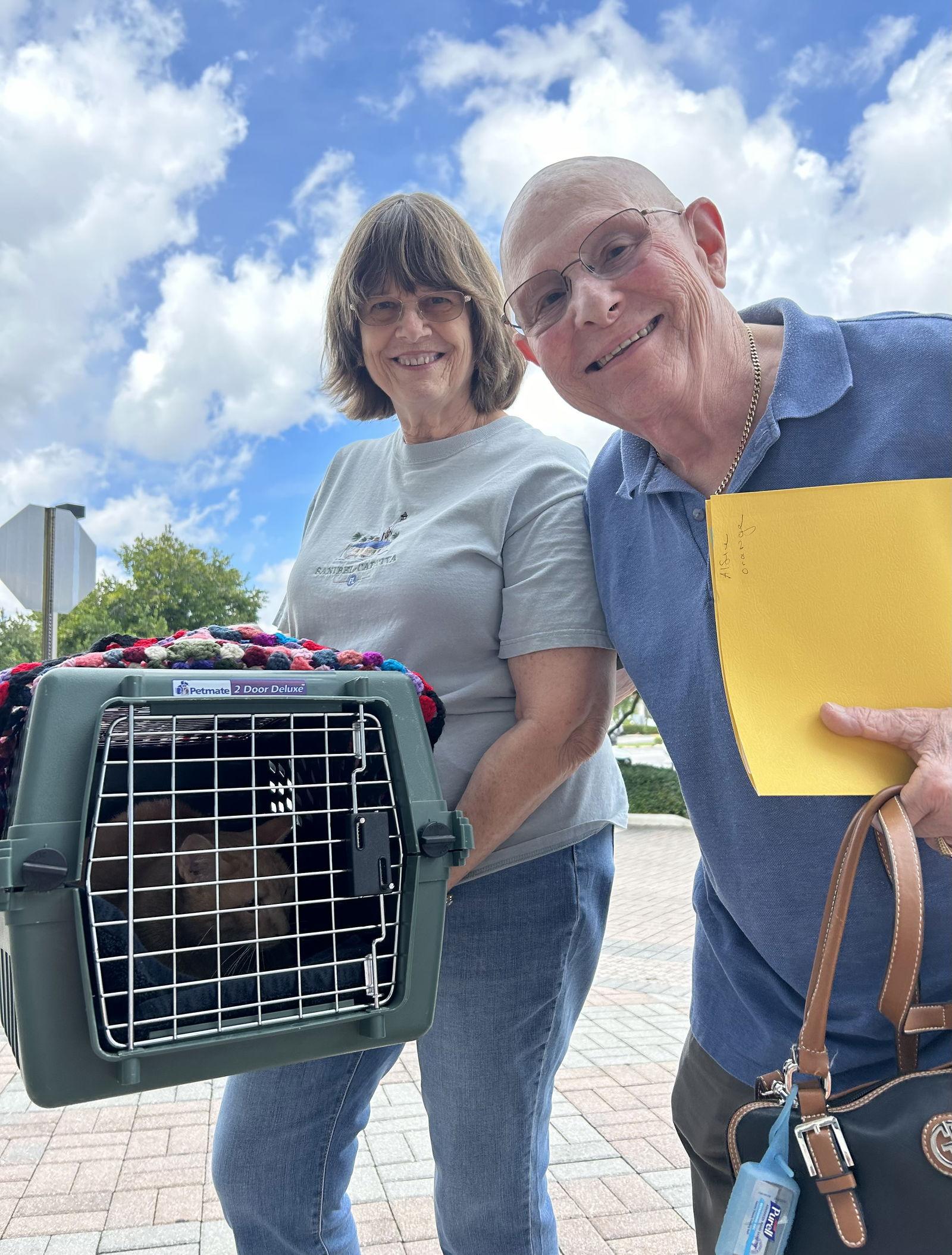 Alfie, a Adopted Domestic Short Hair in West Palm Beach, FL image 2/3