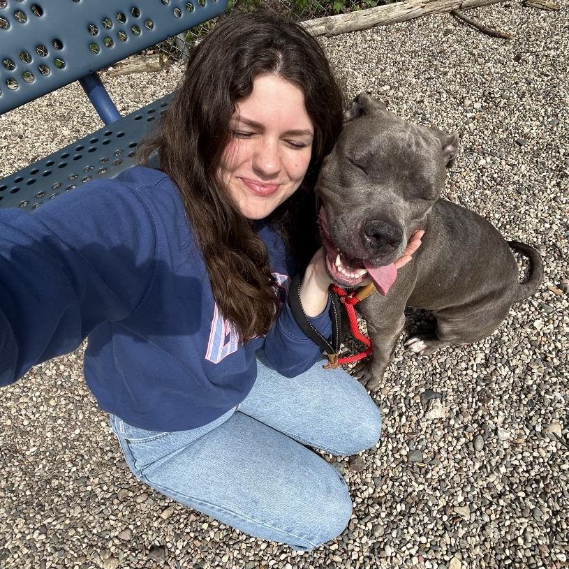 Enlarge Gretta, a Adoptable Mixed Breed in West Olive, MI image 1/6