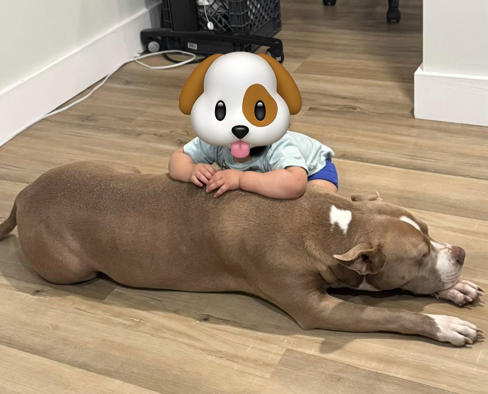 Cleo — thumbnail 2