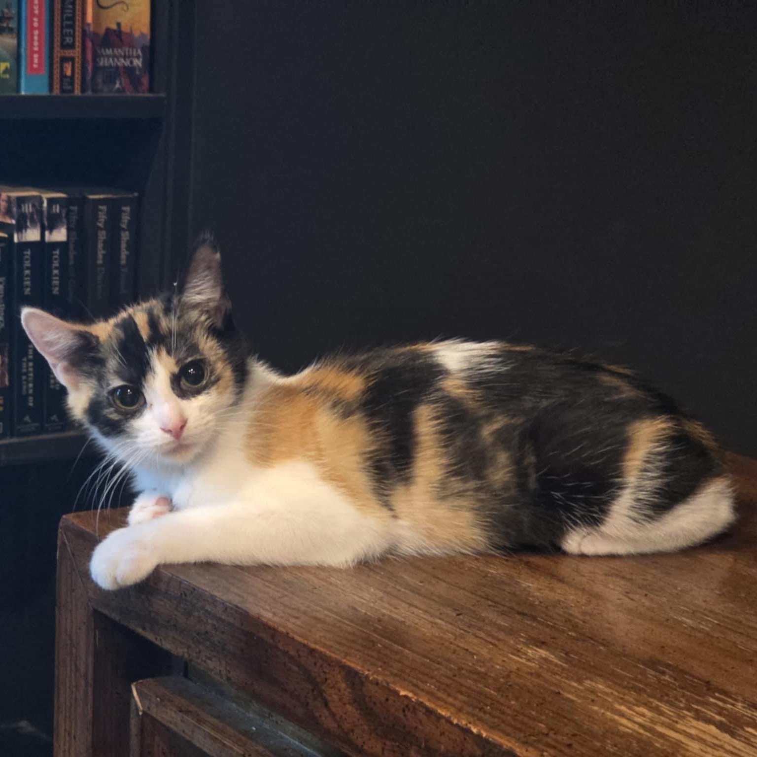 Catalina