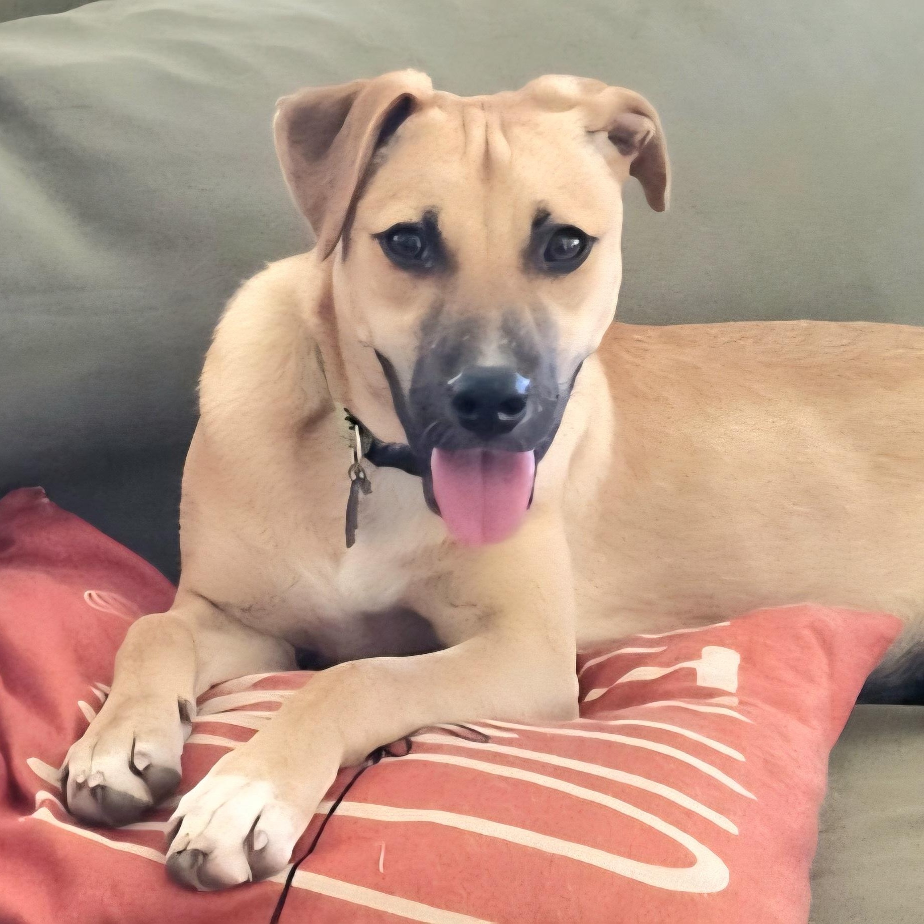 Juno Valentina "your Love