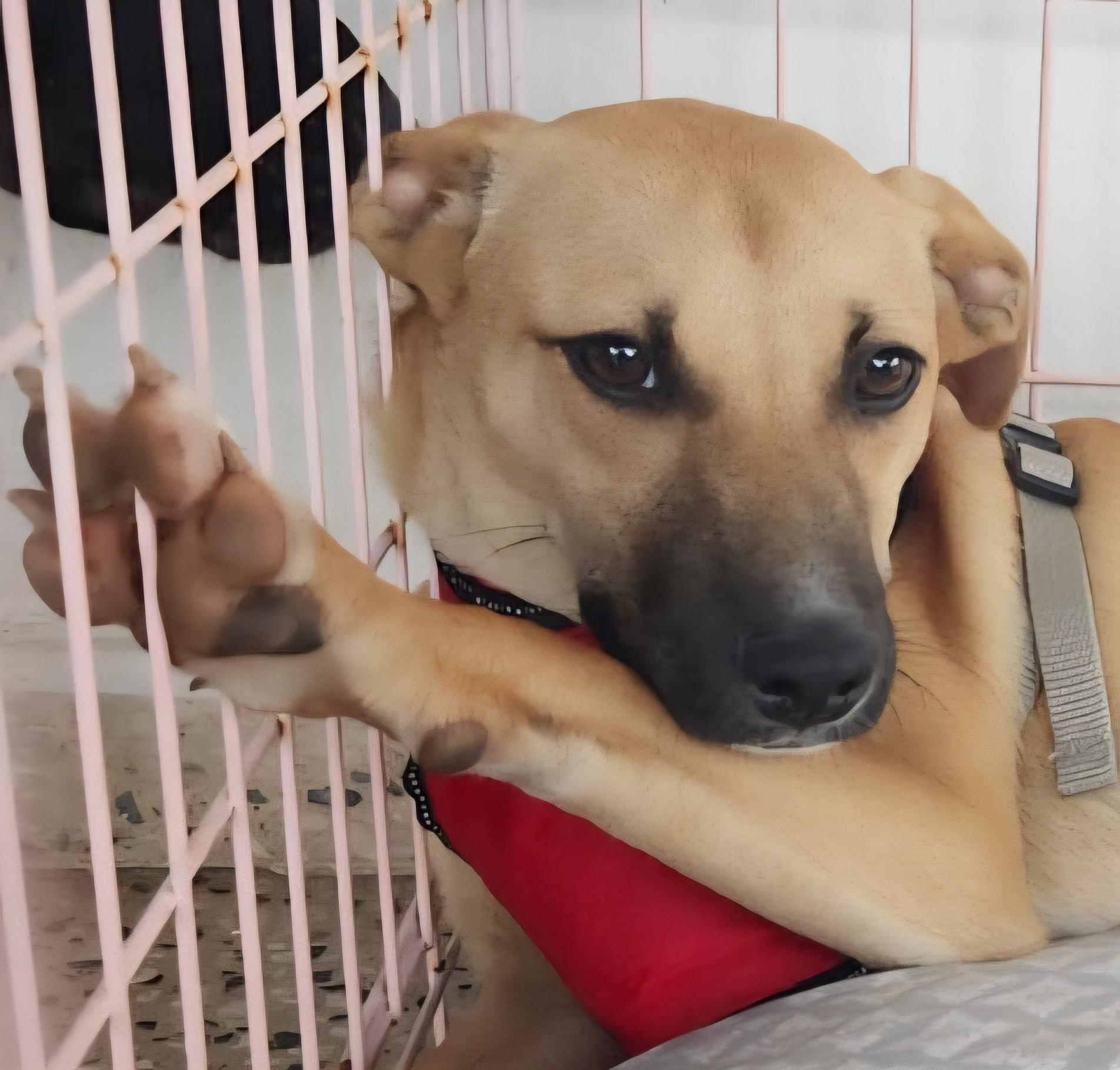 Juno Valentina "your Love thumbnail 3