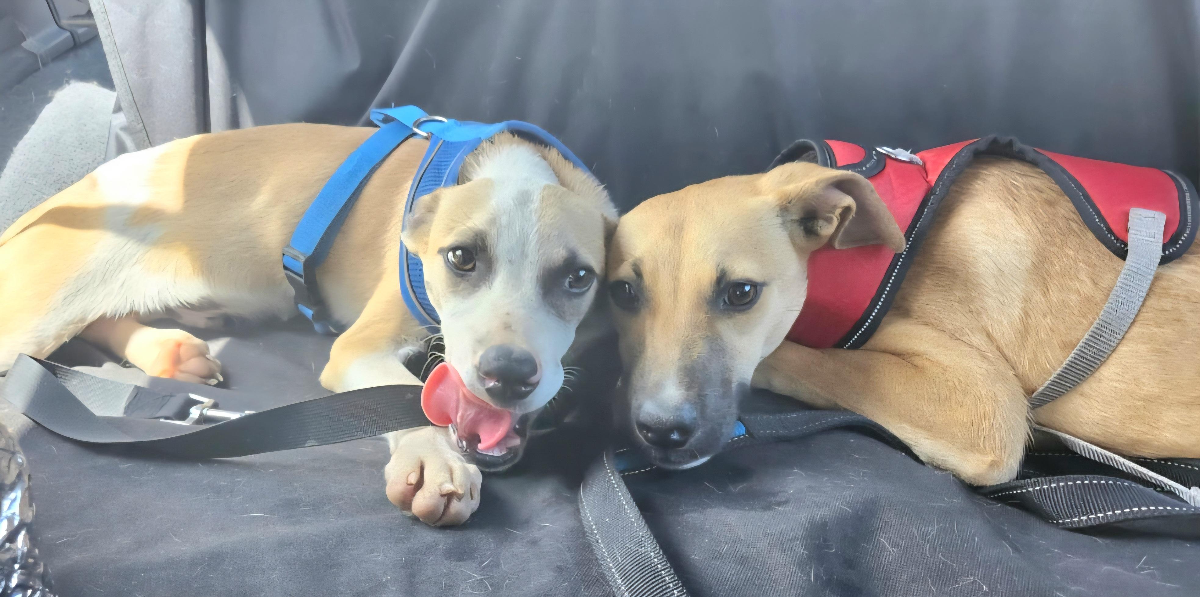 Juno Valentina "your Love thumbnail 5