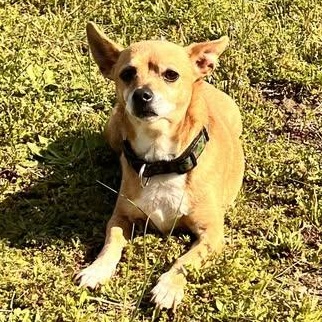 Lil' Man
