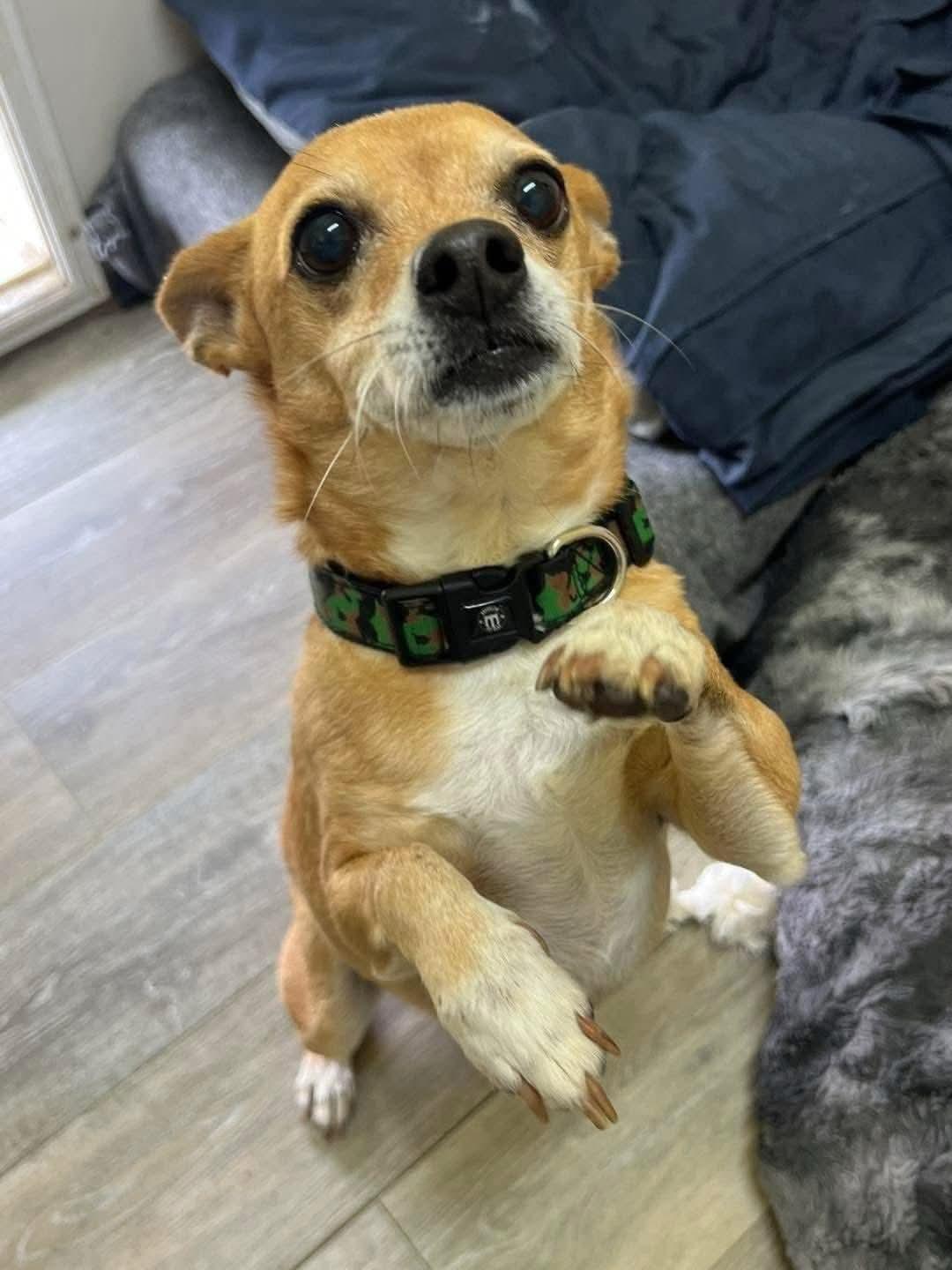 Lil' Man thumbnail 2