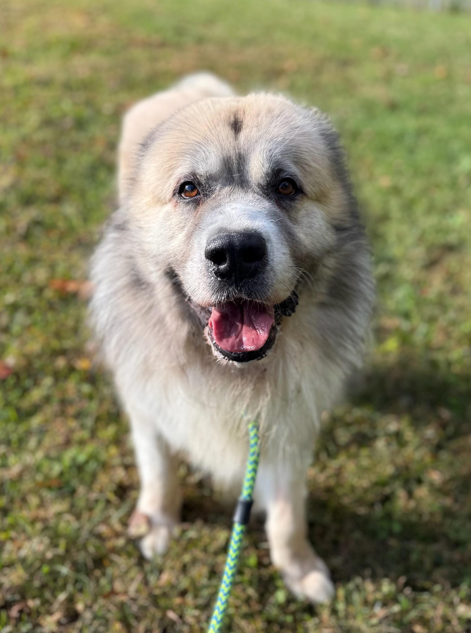 Bandit (ID 48837/3518)