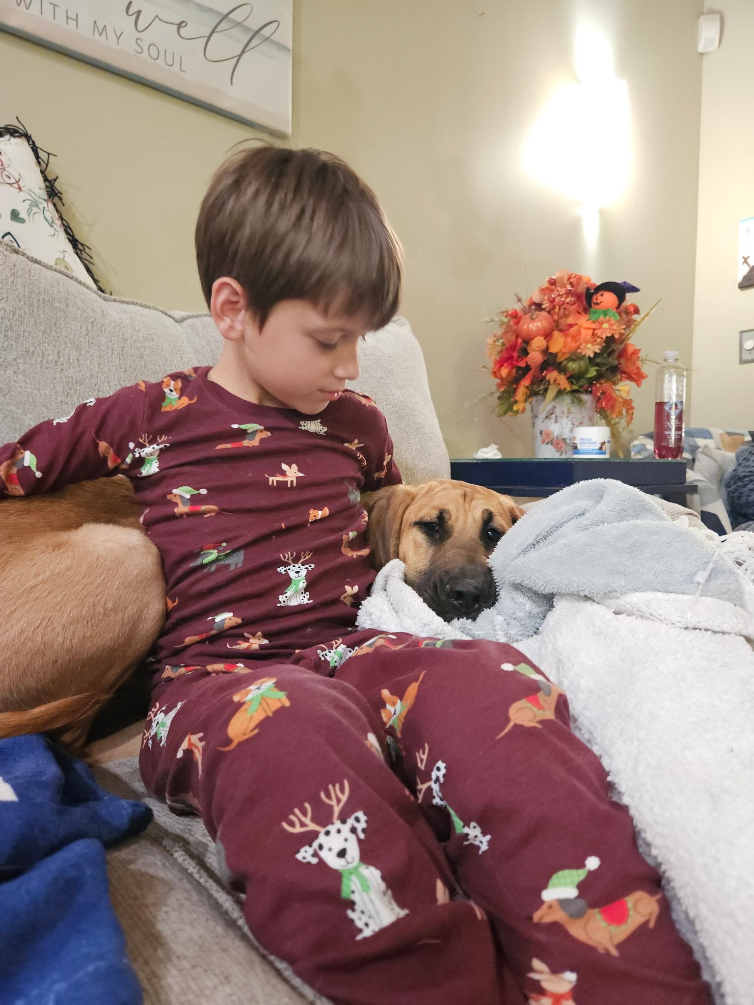 Enlarge Molly, an adopted mixed breed in Denver, NC image 3/6