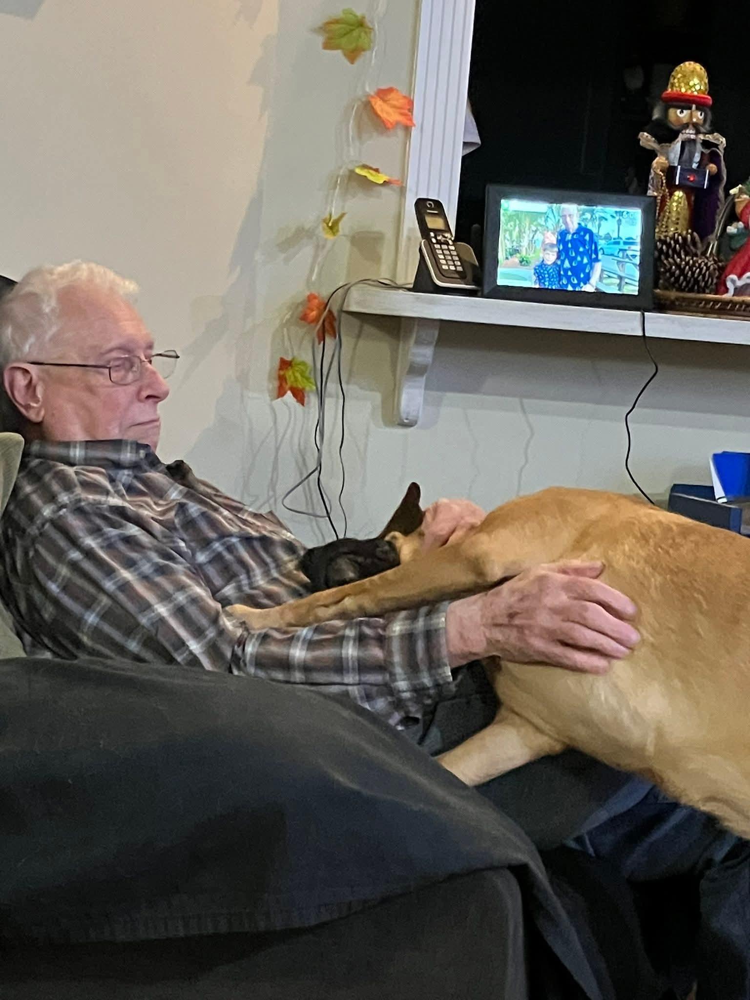 Enlarge Molly, an adopted mixed breed in Denver, NC image 4/6