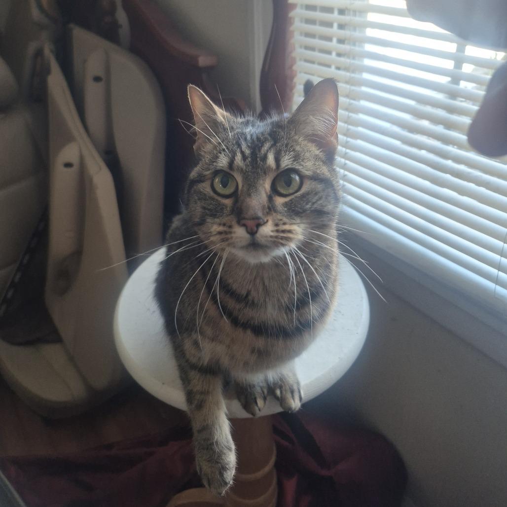 Mena — thumbnail 2