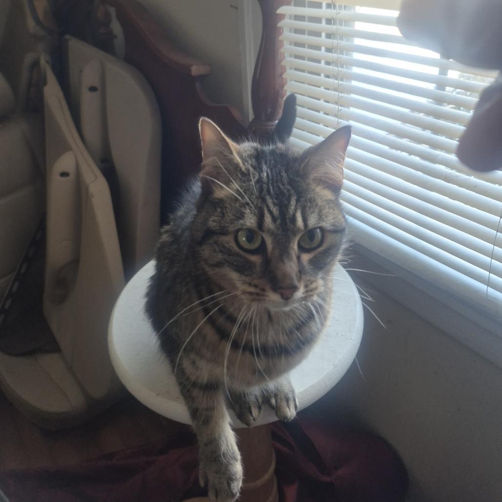 Mena — thumbnail 3