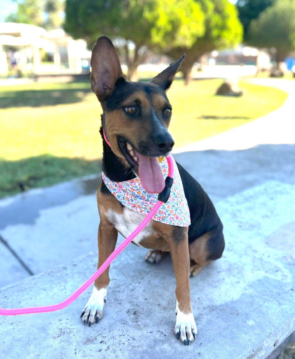 Mina (8) — thumbnail 3