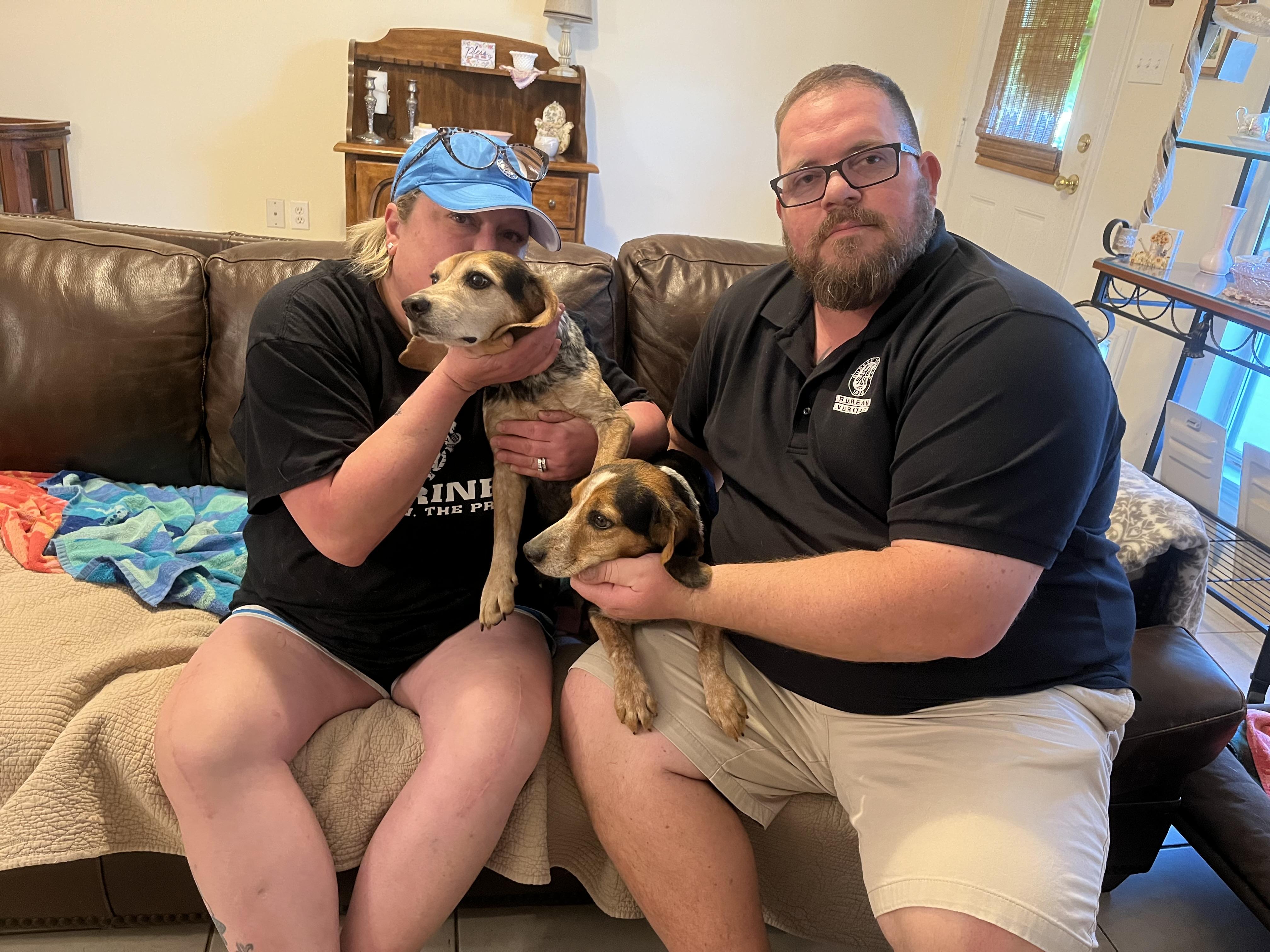 Enlarge Rory, an adopted Beagle in Prairieville, LA image 1/6